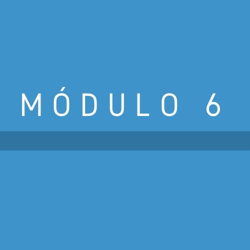 MÓDULO 6